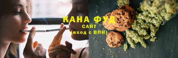 дживик Бородино
