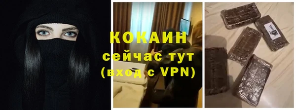дживик Бородино