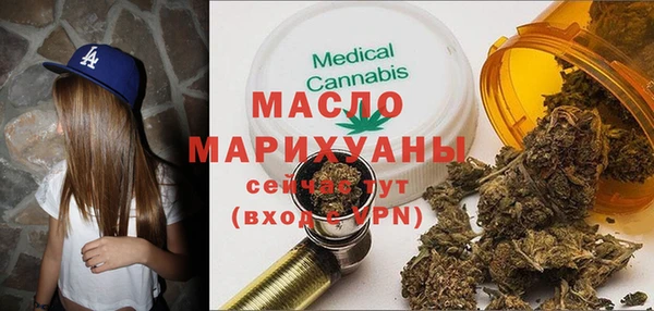 дживик Бородино