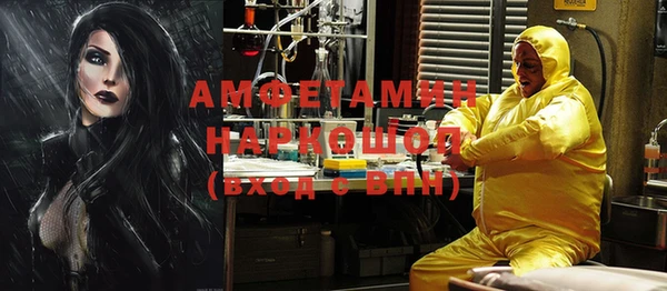 дживик Бородино