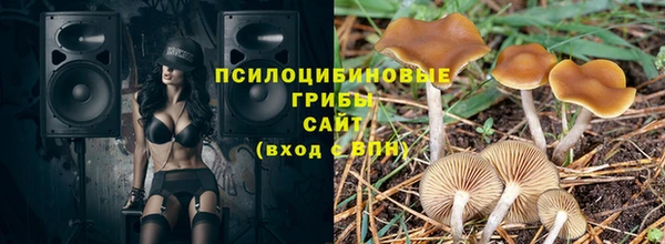 дмт Бронницы