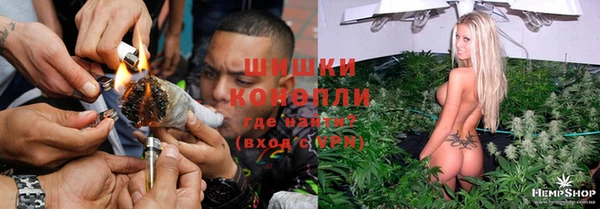 дживик Бородино