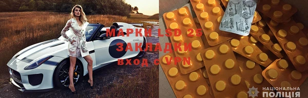 дживик Бородино