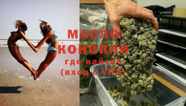 дживик Бородино