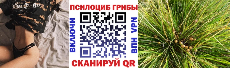 Псилоцибиновые грибы мицелий  магазин  наркотиков  Череповец 